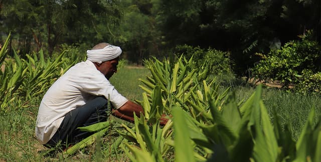 Farm-Fresh vs. Store-Bought: What’s the Real Difference?