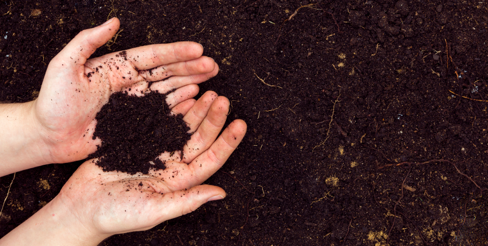 jr farms flat lay hands with soil