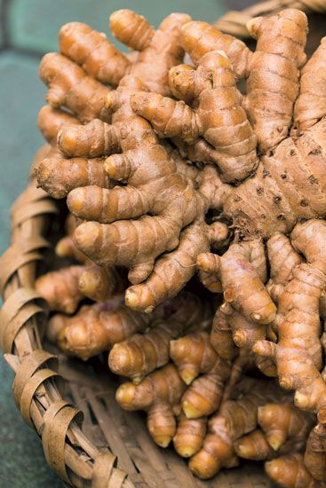 Ginger (Himachal) | अदरक (हिमाचल)