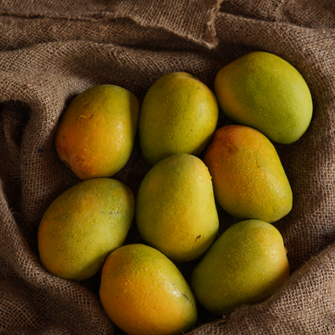 Ratnagiri Alphonso Mango