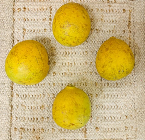 Stone Apple | Beal | बेल