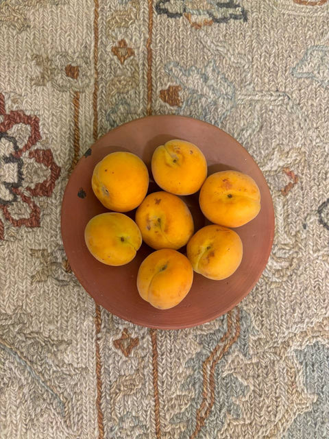 Apricot | खूमानी