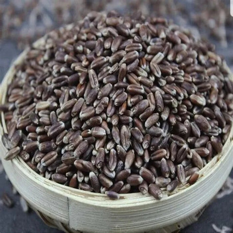 Black wheat | काला गेहूं