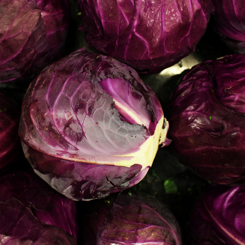 Red Cabbage | लाल पत्ता गोभी