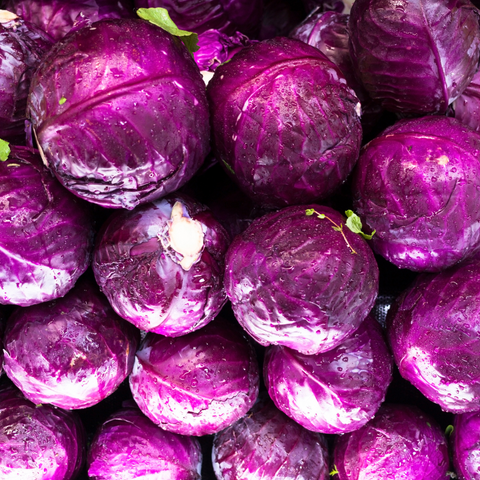 Red Cabbage | लाल पत्ता गोभी