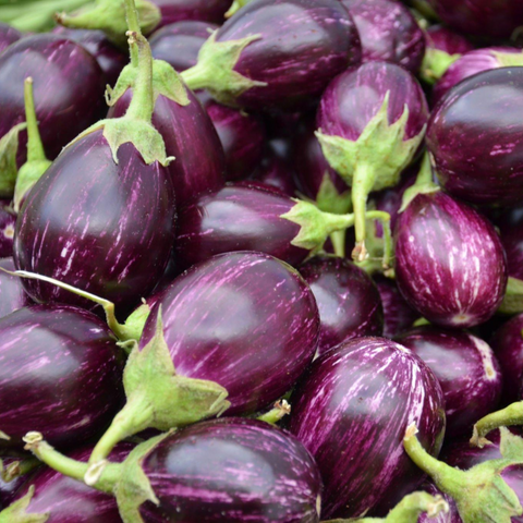 Brinjal | बैंगन