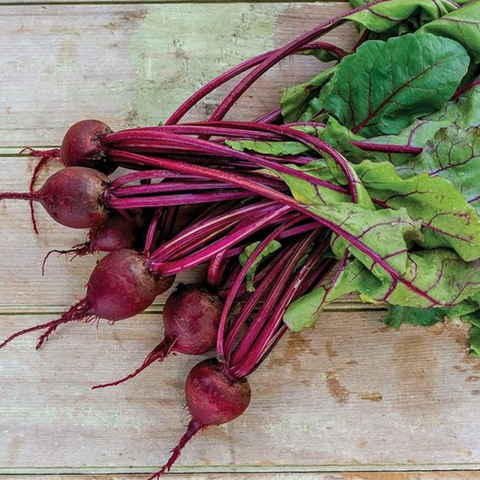 Beetroot |  चुकंदर