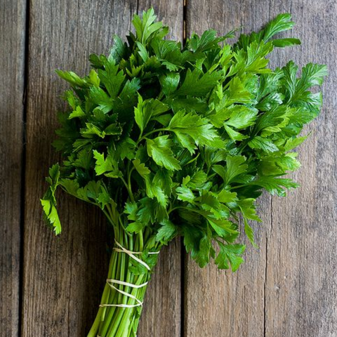 Green Coriander | हरा धनिया