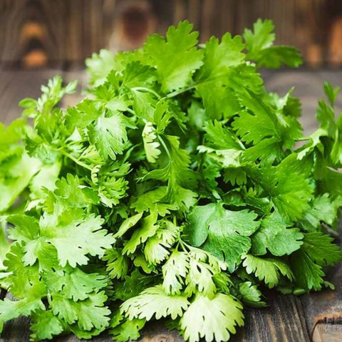 Green Coriander | हरा धनिया