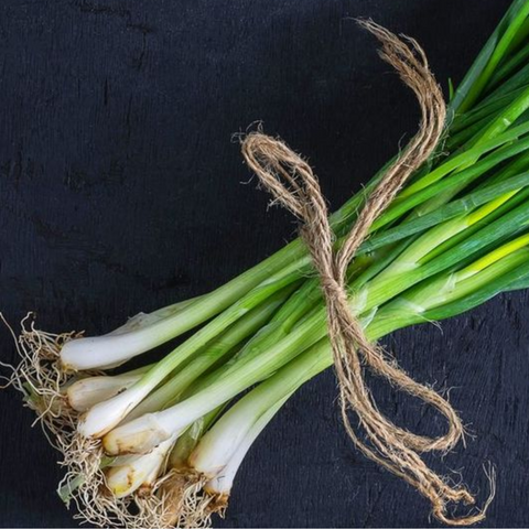 Spring Onion | हरी प्याज