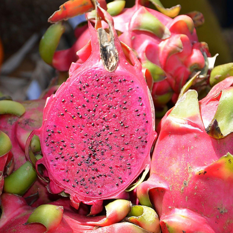 Dragon fruit | ड्रैगन फल