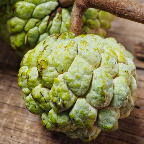 Custard Apple | सीताफल