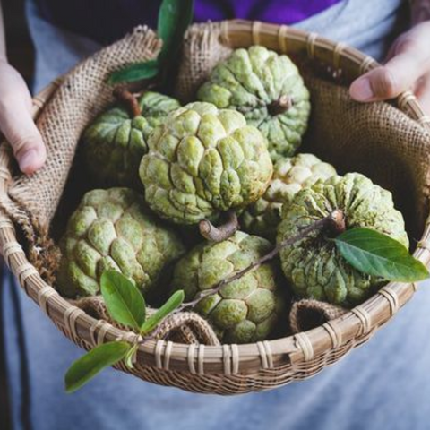 Custard Apple | सीताफल